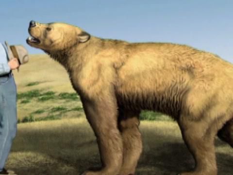 MonsterQuest - Ataque do Urso Gigante