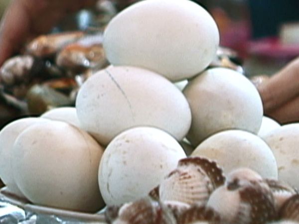 Anthony Bourdain: A Cook's Tour - Cobra Heart - Foods That Make You Manly