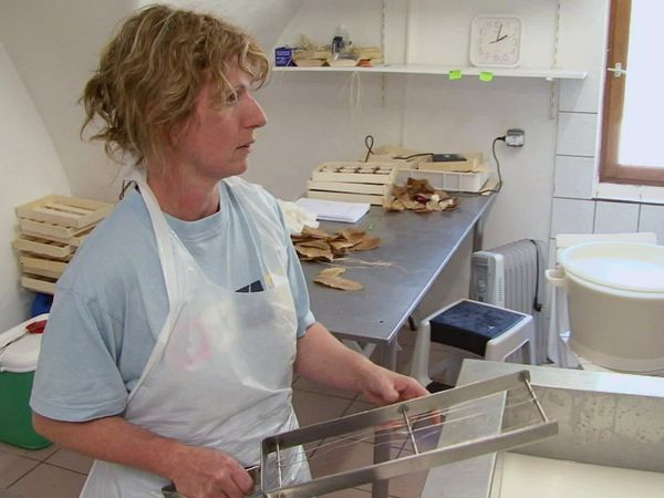 Épicerie Fine - Le fromage de chèvre de Banon