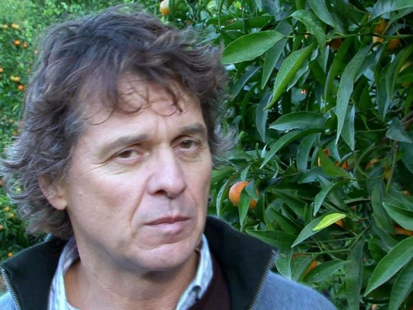 Épicerie Fine - La clémentine de Corse