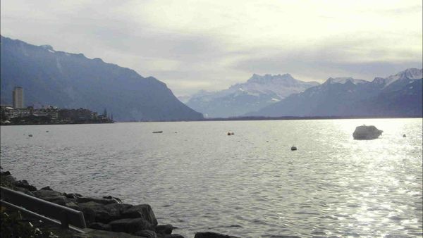 Épicerie Fine - Les poissons des lacs de Savoie
