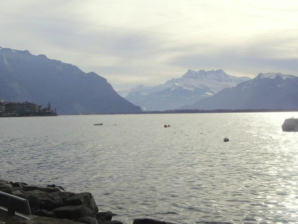 Épicerie Fine - Les poissons des lacs de Savoie