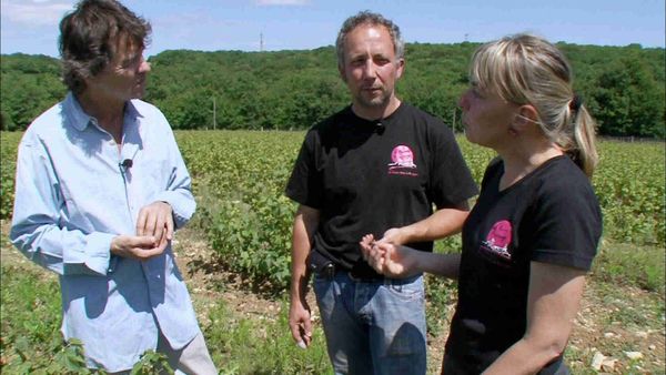 Épicerie Fine - Le cassis de Bourgogne