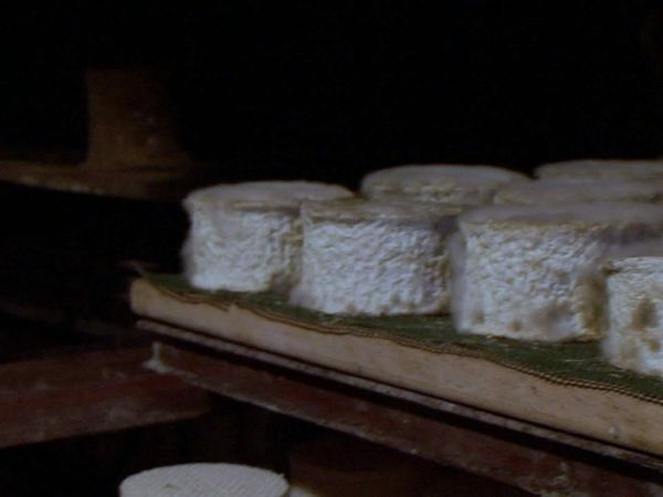 Épicerie Fine - Les persillés de Savoie