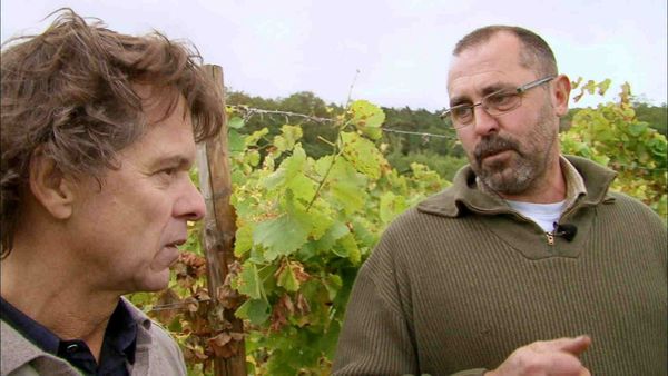 Épicerie Fine - Le raisin d'Alsace