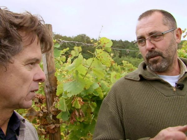 Épicerie Fine - Le raisin d'Alsace