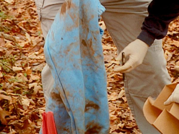 Les Nouveaux Detectives - Journal d'un médecin légiste