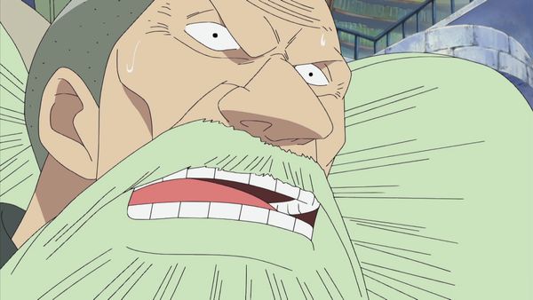 One Piece - Water 7 Saga - ¡Las predestinadas madre e hija! ¡El nombre de la madre es Olvia!