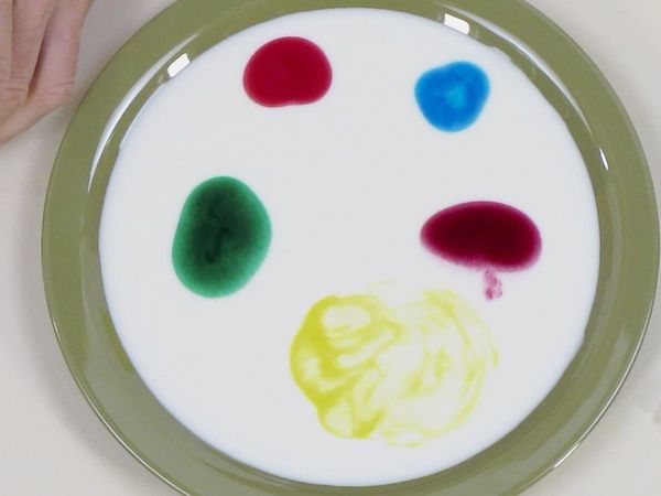 Experimentos ao ataque! - Episódio 13