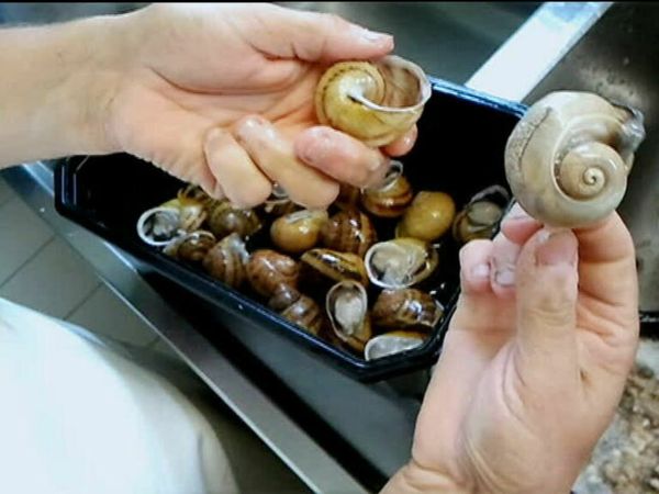 Épicerie Fine - Les escargots de Bourgogne