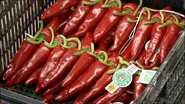 Épicerie Fine - Le piment d'Espelette