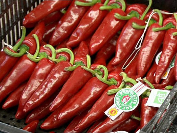Épicerie Fine - Le piment d'Espelette