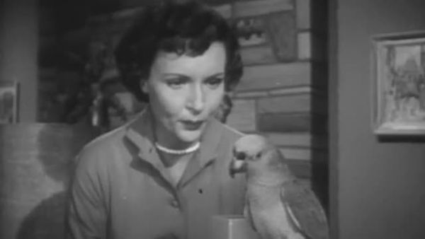 Life with Elizabeth - Not for the Birds/Sleep Problem/Bowling