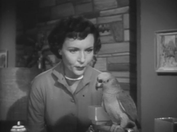 Life with Elizabeth - Not for the Birds/Sleep Problem/Bowling