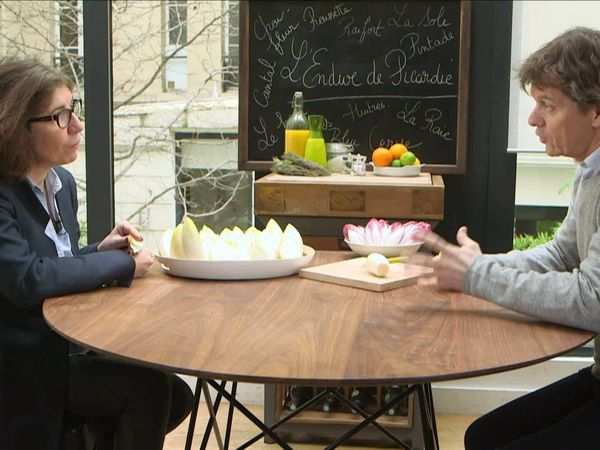 Épicerie Fine - Les endives