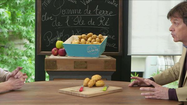Épicerie Fine - La pomme de terre de l'île de Ré