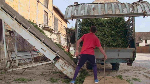 Épicerie Fine - Menthe de Milly-la-Forêt et miel du Gâtinais
