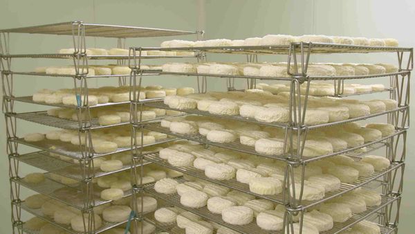 Épicerie Fine - Chartreuse et Saint-Marcellin des Préalpes du Nord
