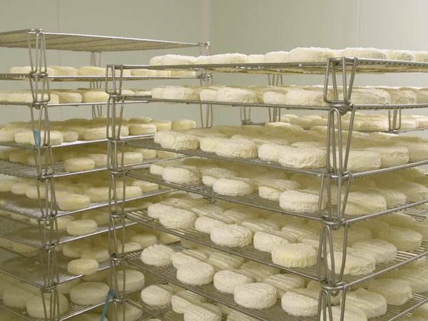 Épicerie Fine - Chartreuse et Saint-Marcellin des Préalpes du Nord