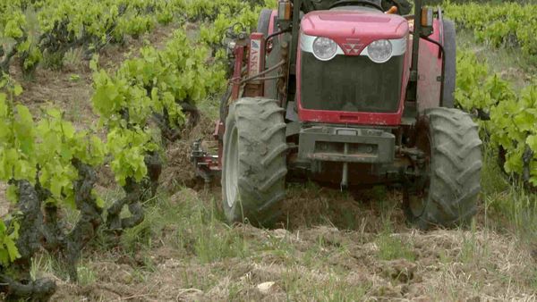Épicerie Fine - Mató et rancio sec des Aspres