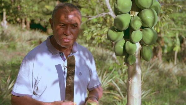 Épicerie Fine - Poulpe et papaye de Mayotte