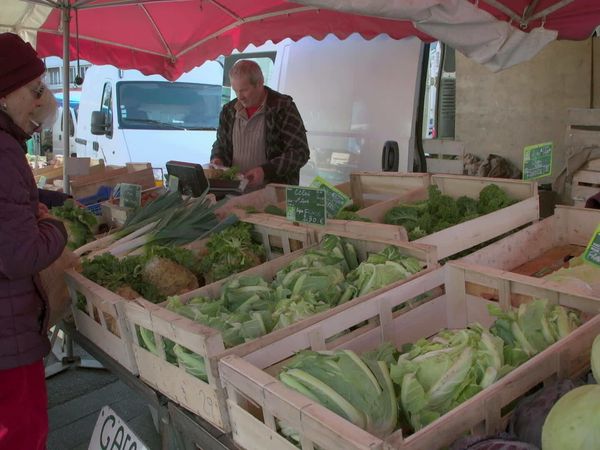 Épicerie Fine - Ormeau et chou du Pays de Lorient