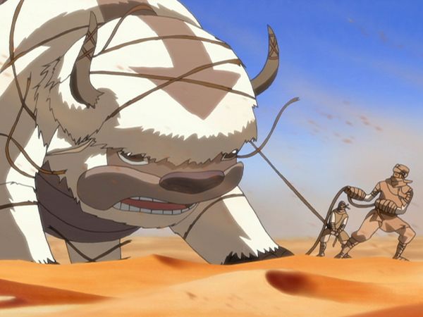 Avatar – Der Herr der Elemente - Armer Appa