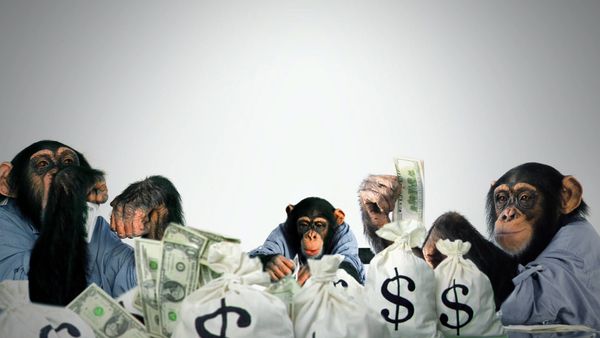 Most Ridiculous - Spécial Délinquants