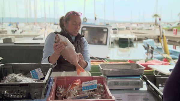 Épicerie Fine - Le Golfe de Saint-Tropez