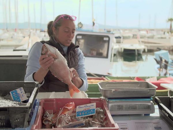 Épicerie Fine - Le Golfe de Saint-Tropez