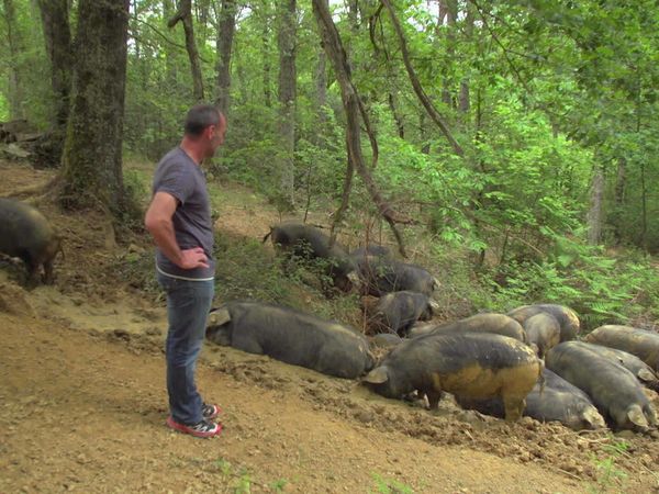 Épicerie Fine - Oignons doux et porc noir de la Bigorre