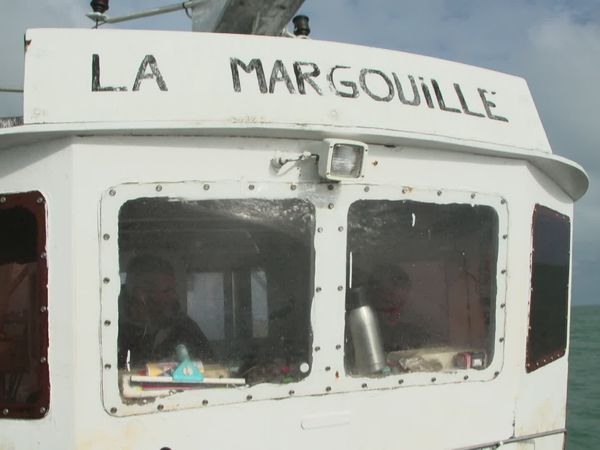 Épicerie Fine - Huîtres et coquilles Saint-Jacques de la baie de Saint-Brieuc