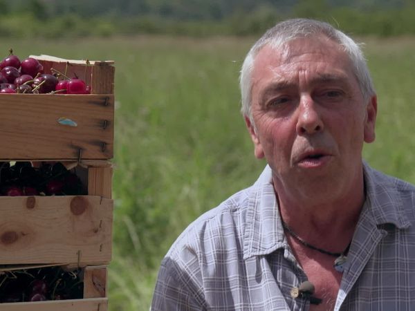 Épicerie Fine - Cerise Burlat et rigotte des Monts du Lyonnais