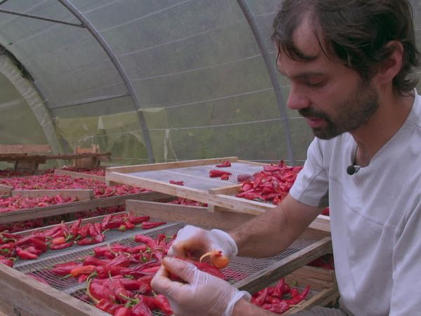 Épicerie Fine - Porc Kintoa et piment d'Espelette du Labourd