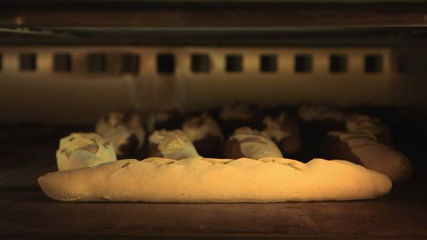 Épicerie Fine - Nougat et fruits confits du Pays d'Apt