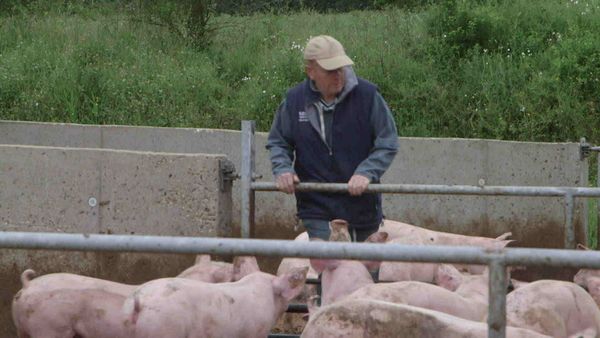 Épicerie Fine - Fleur de sureau et porc Cénomans du Pays Manceau
