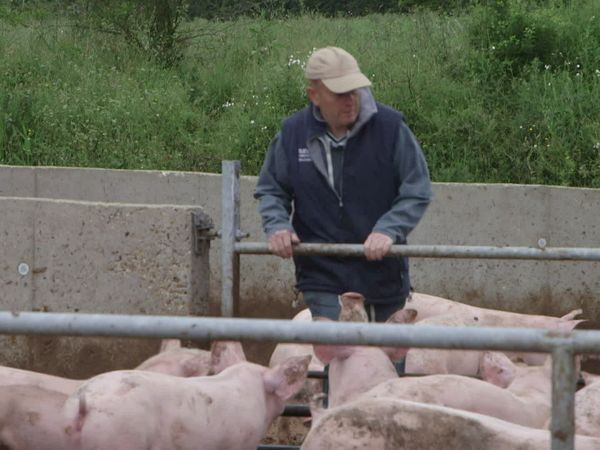 Épicerie Fine - Fleur de sureau et porc Cénomans du Pays Manceau