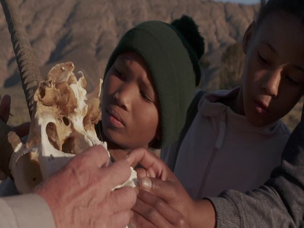 Siyaya - Come Wild With Us - Anysberg - La Joya Escondida del Klein Karoo