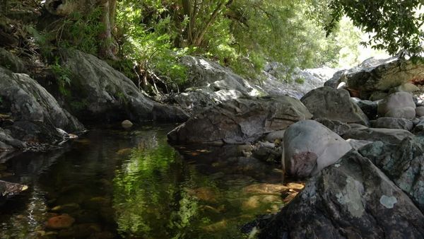 Siyaya - Come Wild With Us - Reserva Natural Hottentots Holland - On Angel's Wings