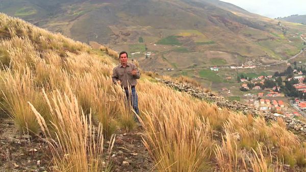 Salud al natural - Giardiasis
