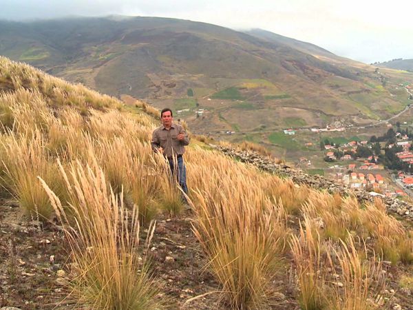Salud al natural - Giardiasis