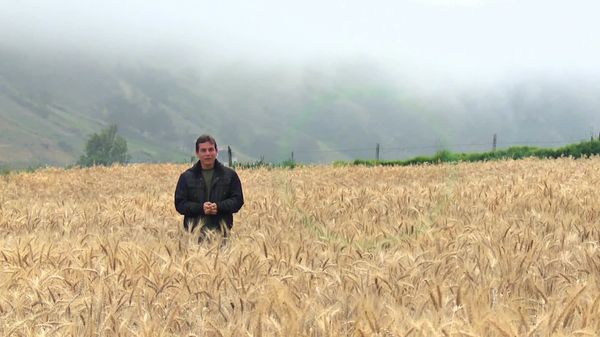 Salud al natural - Cáncer de seno