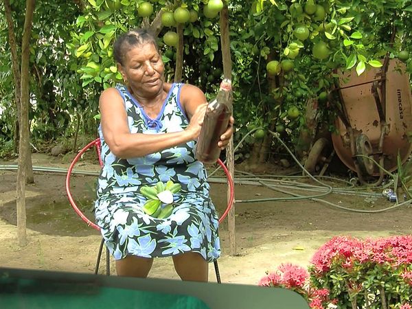 Salud al natural - Colesterol y triglicéridos