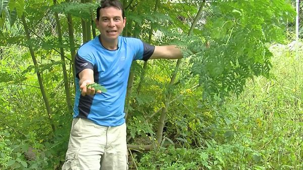 Salud al natural - Osteoporosis