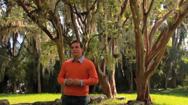 Salud al Natural - Páncreas