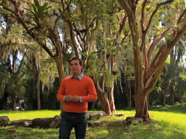 Salud al Natural - Páncreas