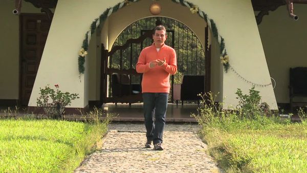 Salud al Natural - Calculo Vesicula