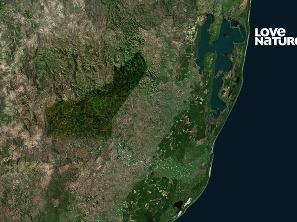 Grandes Parques de Africa - Hluhluwe-iMfolozi