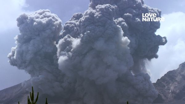 Odisea Volcánica - Volcanes activos