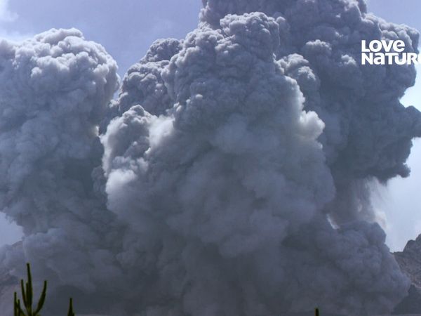 Odisea Volcánica - Volcanes activos